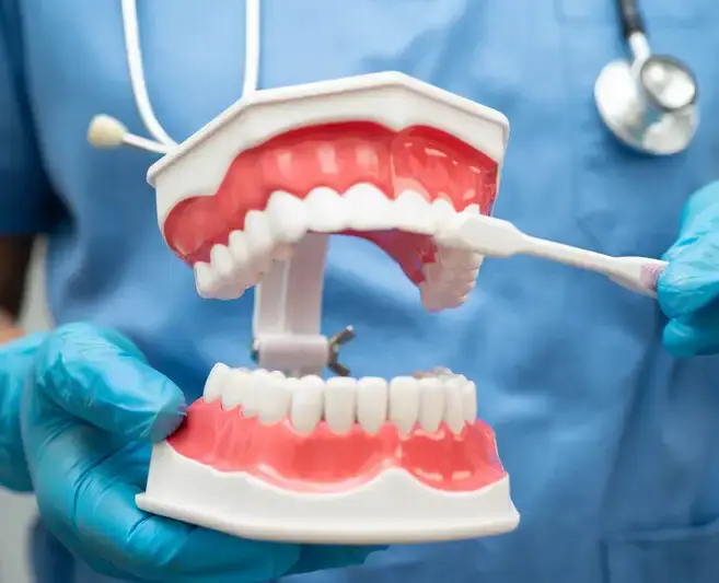 Parodontologie Wien – Zahnfleischbehandlung bei Dentalaesthetics 1010 Wien
